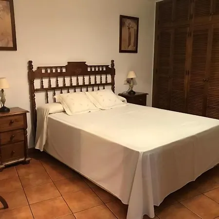 Minas 51 *